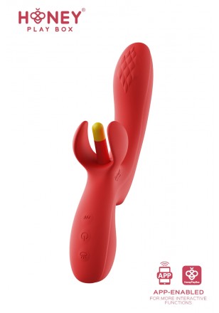 Honey Play Box Fortexa Rouge